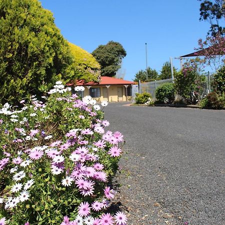 Colonial Motor Inn Pambula Kültér fotó