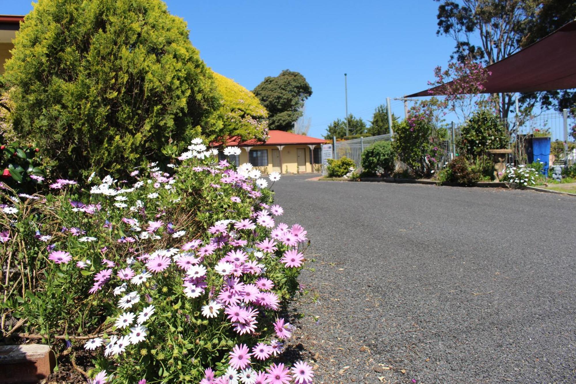 Colonial Motor Inn Pambula Kültér fotó