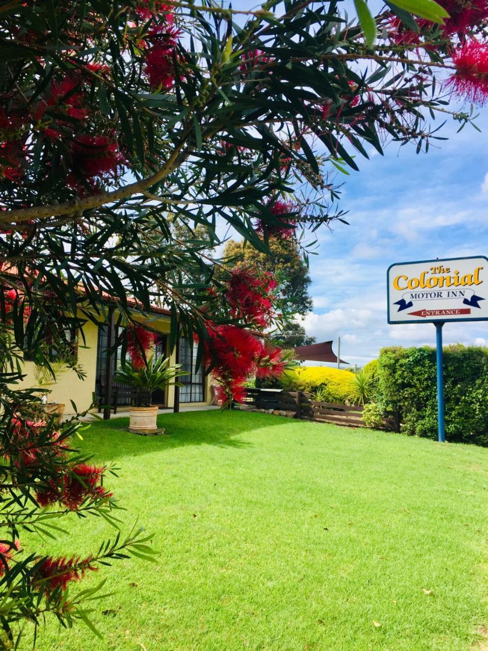 Colonial Motor Inn Pambula Kültér fotó